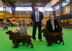 crufts 2007 046crop